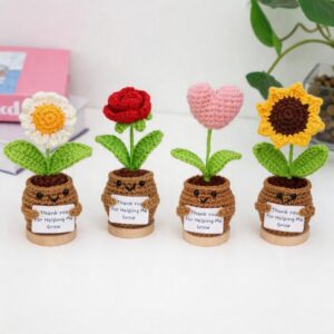 Small Potted Yarn Plants